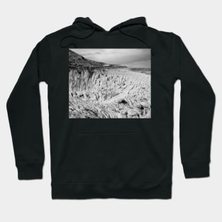 Dry Island Buffalo Jump B&W Hoodie